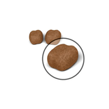 FCN DENTAL CARE - CROQUETA